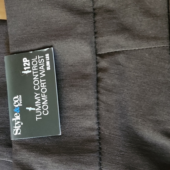 STYLE & CO Women's Tummy Control Comfort Waist Brown Dress Pants Size 12 Petite - Picture 2 of 16